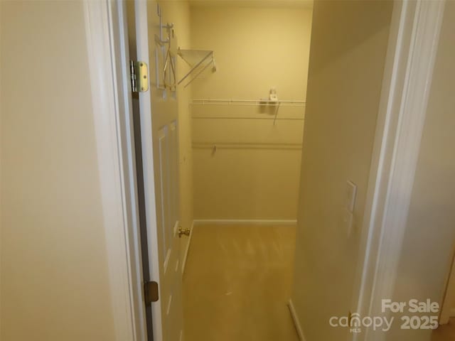 view of walk in closet