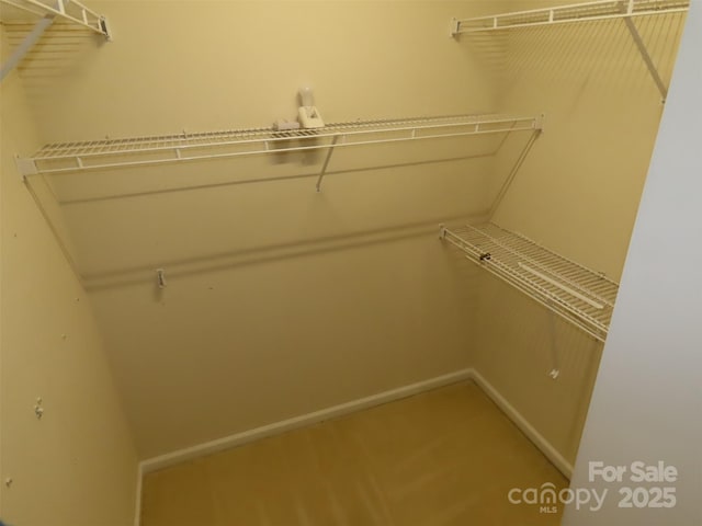 view of spacious closet