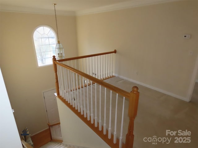 staircase with ornamental molding