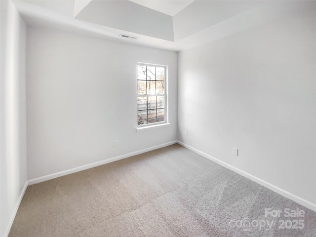 spare room with a raised ceiling and carpet