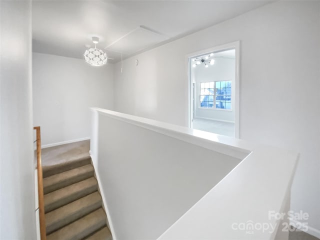 staircase featuring carpet