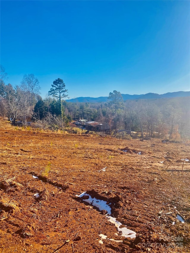 00 Tatertown Loop, Nebo NC, 28761 land for sale