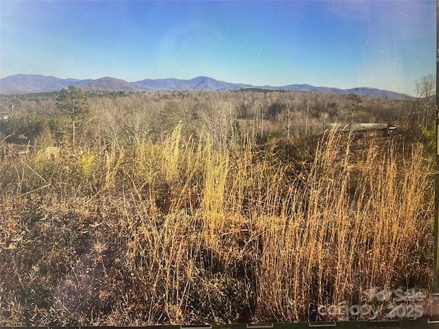 00 Tatertown Loop, Nebo NC, 28761 land for sale