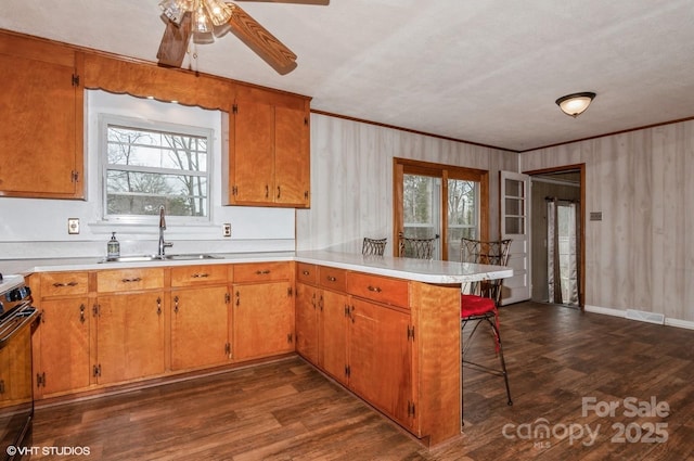 kitchen with dark hardwood / wood-style flooring, sink, kitchen peninsula, and electric stove