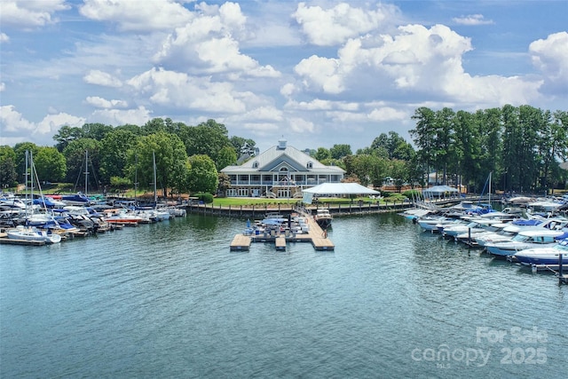 water view with a dock