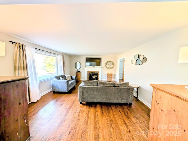 living room featuring hardwood / wood-style flooring and a fireplace