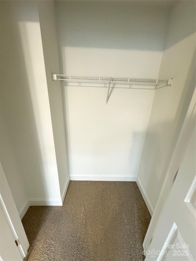 spacious closet with dark carpet