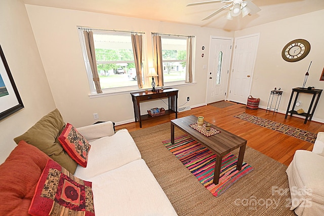 living room with ceiling fan and wood-type flooring