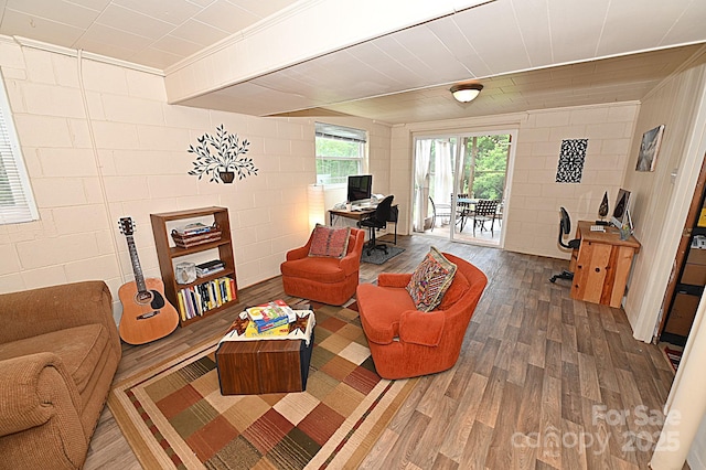 living room featuring wood-type flooring