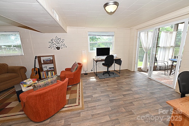 living room with dark hardwood / wood-style flooring