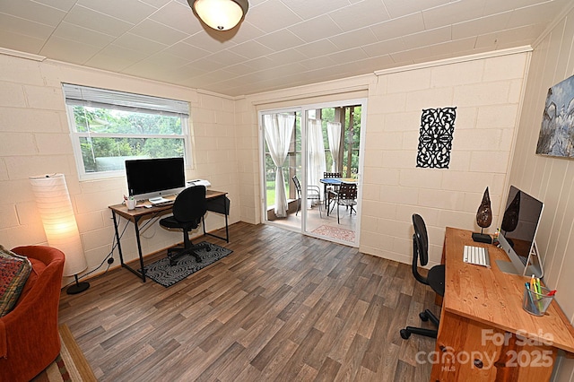 home office with dark wood-type flooring