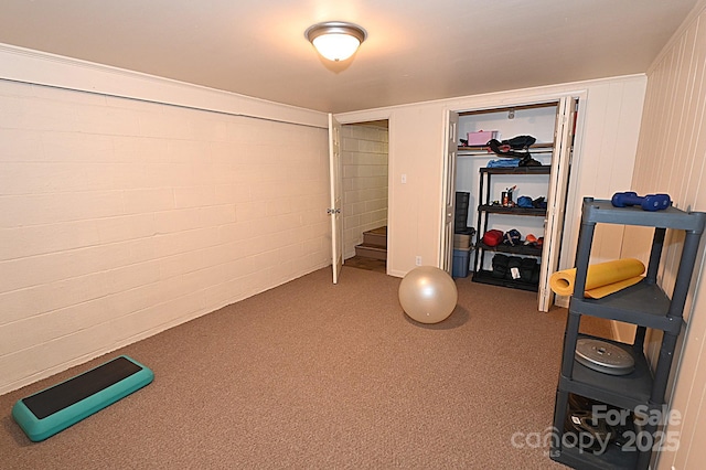 workout area featuring carpet flooring