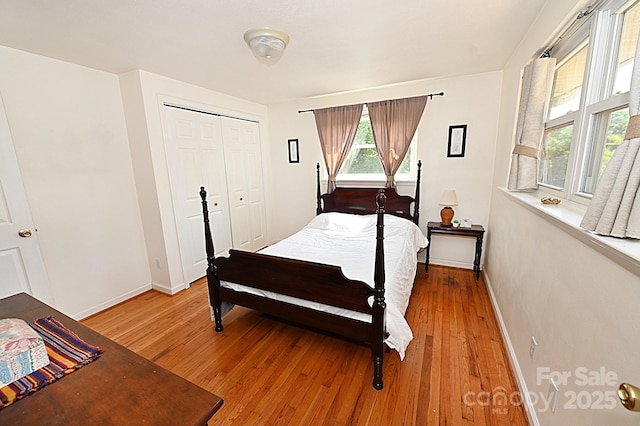 bedroom with hardwood / wood-style floors and a closet