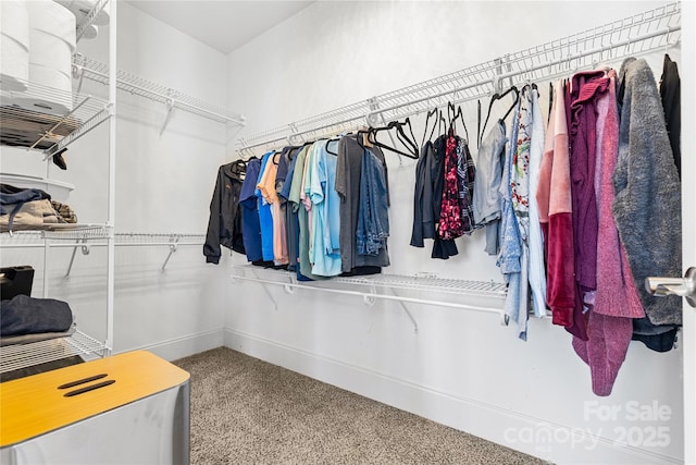 view of spacious closet