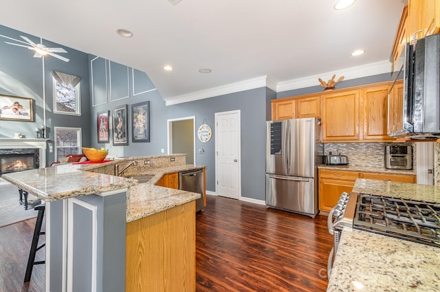 kitchen with sink, a premium fireplace, appliances with stainless steel finishes, a kitchen breakfast bar, and light stone counters