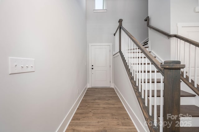 stairway with hardwood / wood-style flooring