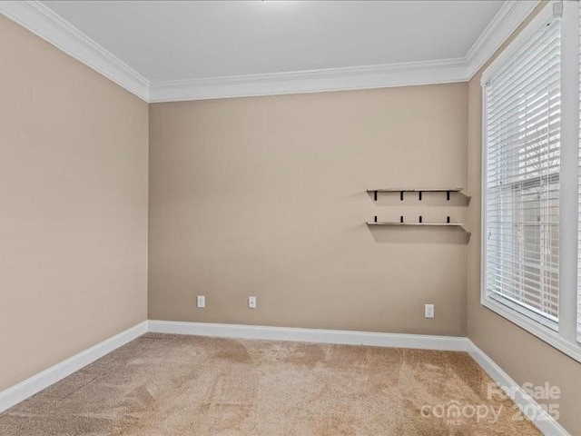 carpeted empty room with ornamental molding