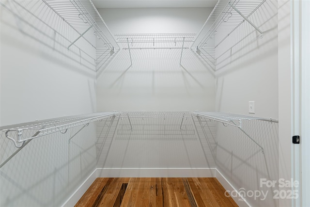 walk in closet with wood finished floors