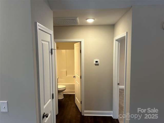 hallway featuring dark wood-type flooring