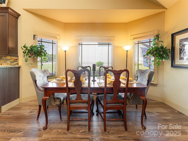 dining area featuring plenty of natural light and wood-type flooring