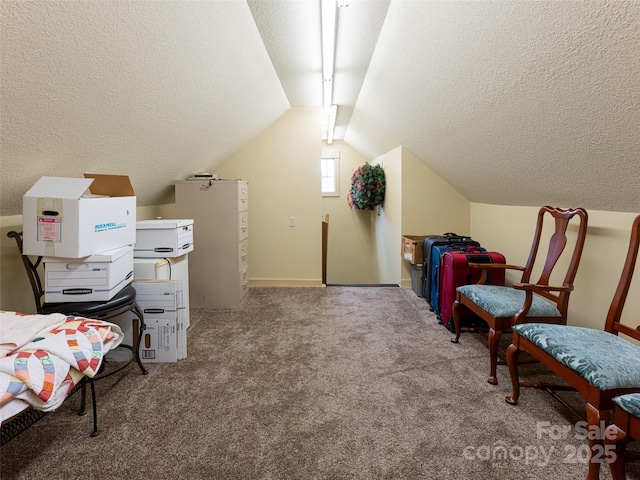 interior space with vaulted ceiling, light colored carpet, and a textured ceiling