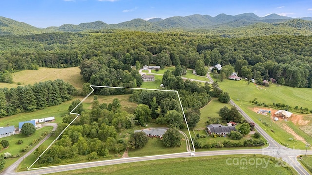 birds eye view of property featuring a mountain view