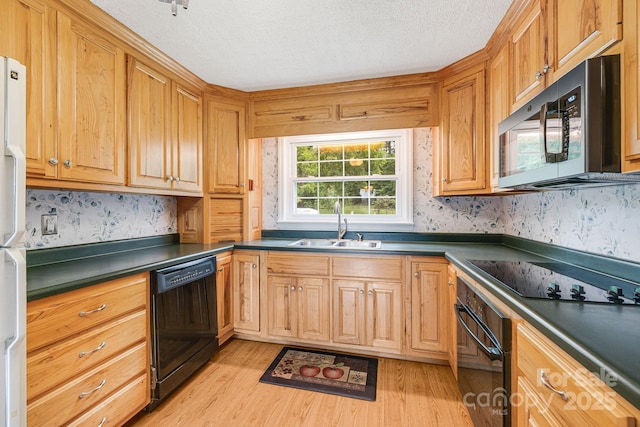 kitchen with light hardwood / wood-style floors, sink, a textured ceiling, and black appliances