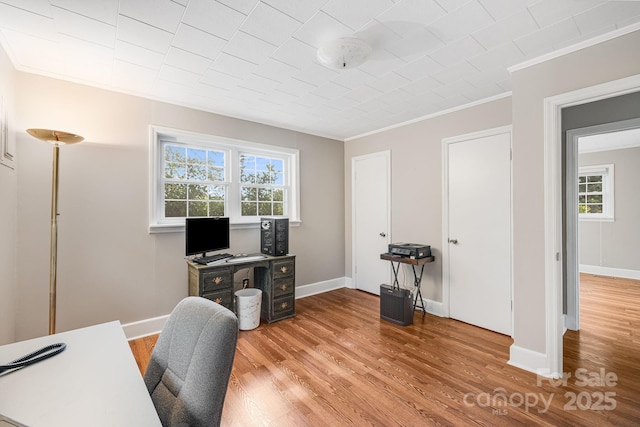 office area featuring crown molding and hardwood / wood-style floors