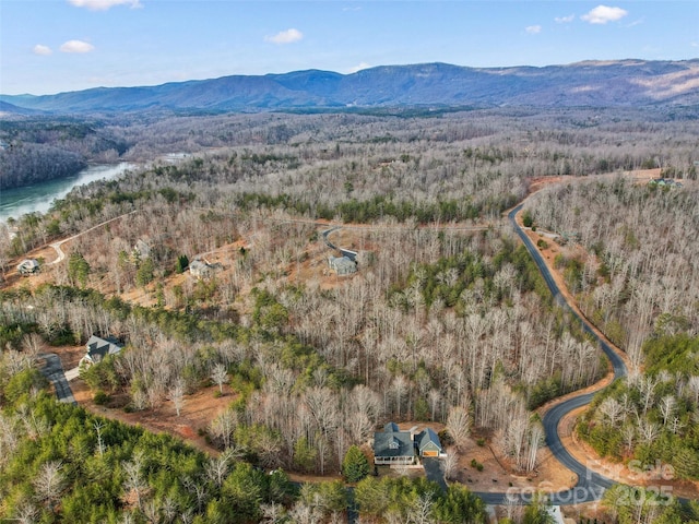 birds eye view of property featuring a water and mountain view