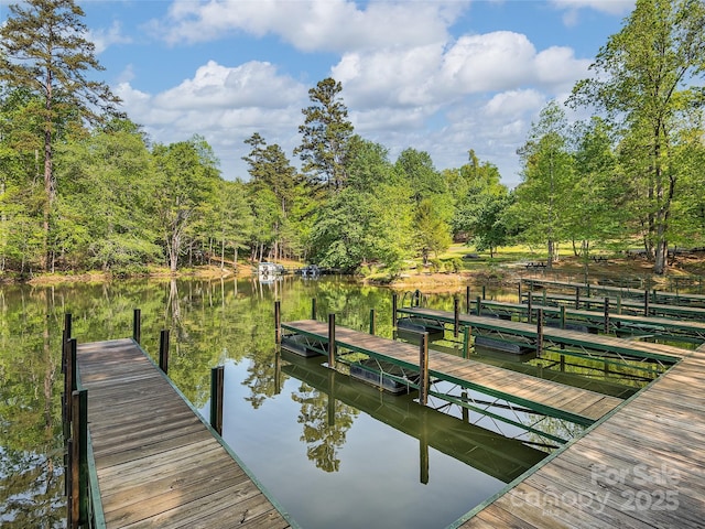 dock area with a water view