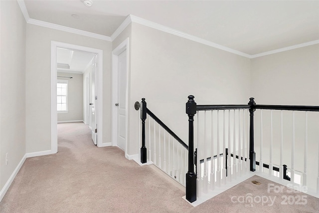 stairs with crown molding and carpet floors