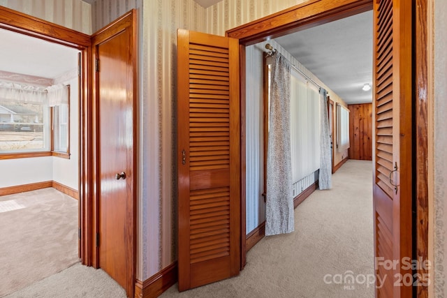 hallway featuring light carpet