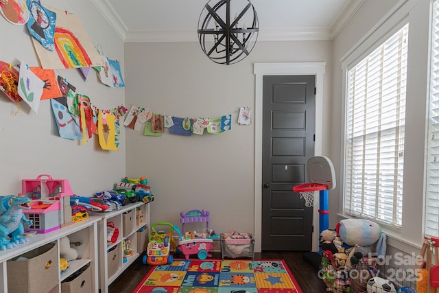 playroom with ornamental molding and dark hardwood / wood-style floors