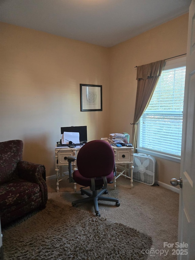 view of carpeted office