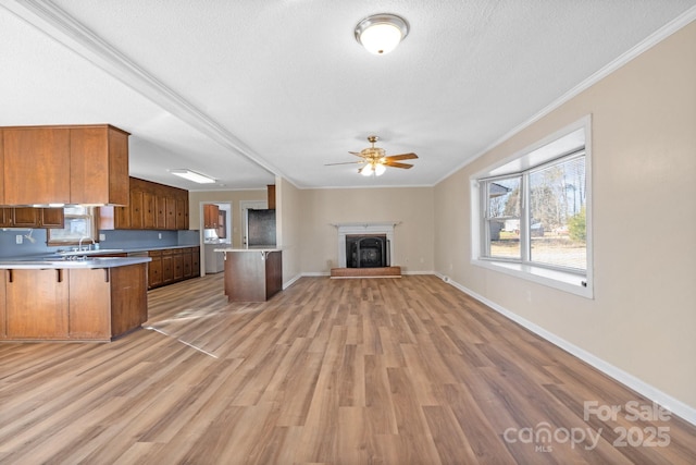 kitchen featuring crown molding, light wood-type flooring, ceiling fan, and a textured ceiling