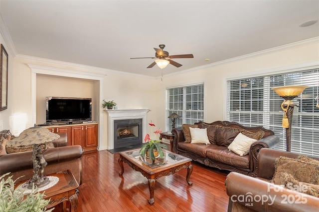 living room featuring crown molding, hardwood / wood-style flooring, a premium fireplace, ceiling fan, and plenty of natural light