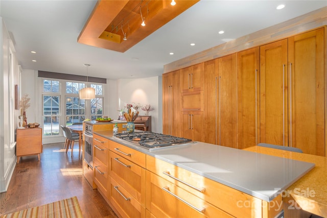 kitchen with a spacious island, stainless steel appliances, dark hardwood / wood-style flooring, and pendant lighting