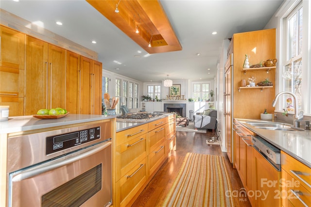 kitchen with appliances with stainless steel finishes, sink, and dark hardwood / wood-style flooring