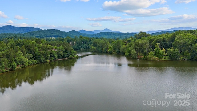 property view of water featuring a mountain view and a view of trees