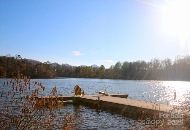 dock area featuring a water view and a forest view