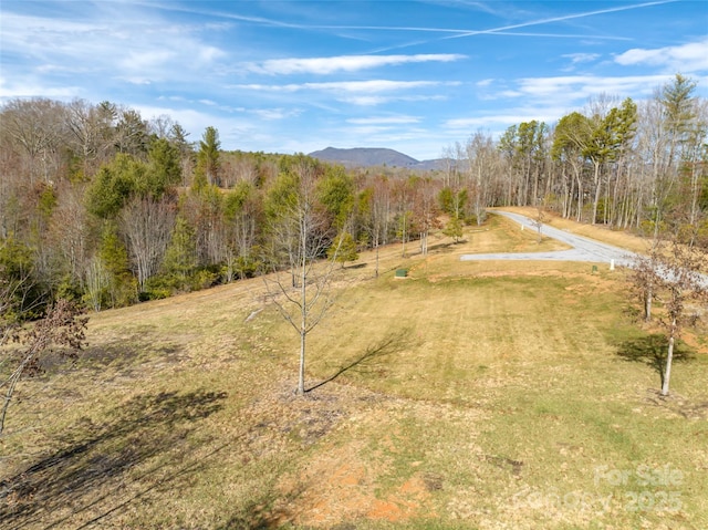 Listing photo 3 for 437 Pisgah Vista Rd Lot 37, Fletcher NC 28732