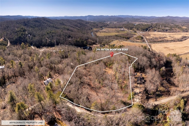 396 Patton Mountain Rd, Pisgah Forest NC, 28768 land for sale