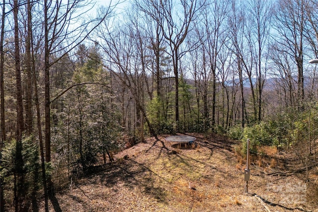 Listing photo 2 for 396 Patton Mountain Rd, Pisgah Forest NC 28768