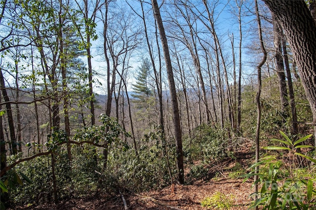 Listing photo 3 for 396 Patton Mountain Rd, Pisgah Forest NC 28768