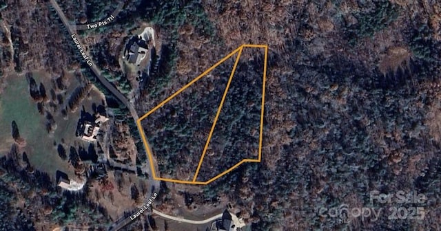 0 Lake Haven Dr Unit 39 & 40, Lake Lure NC, 28746 land for sale