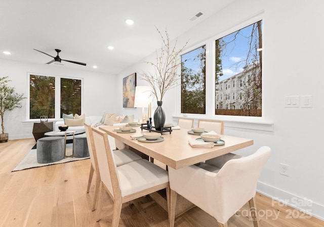 dining area with ceiling fan and light hardwood / wood-style flooring