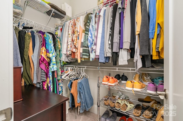 view of walk in closet