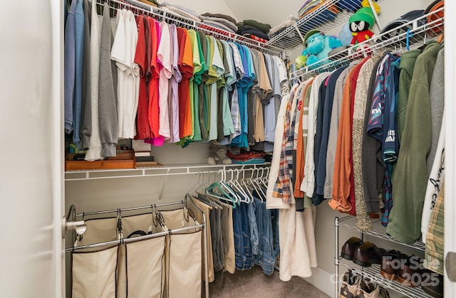 spacious closet with carpet