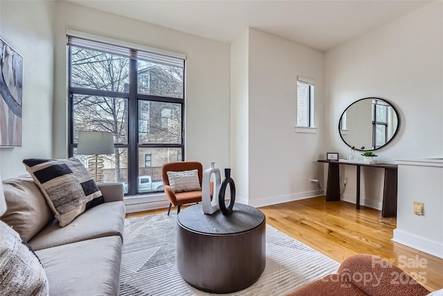 living room featuring hardwood / wood-style floors