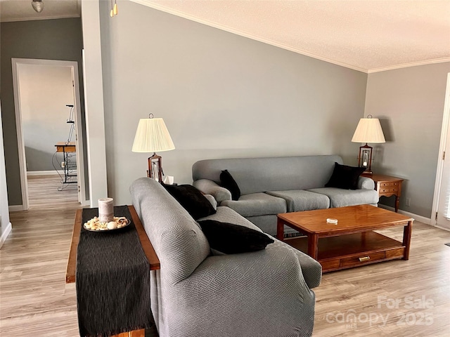 living room with ornamental molding and light hardwood / wood-style floors